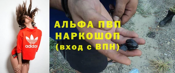 бошки Дмитриев