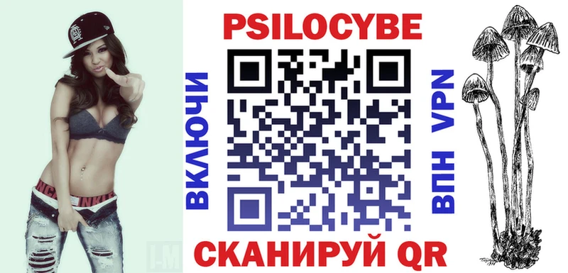 магазин    Зея  Псилоцибиновые грибы Cubensis 