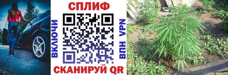 Каннабис Amnesia  Зея 